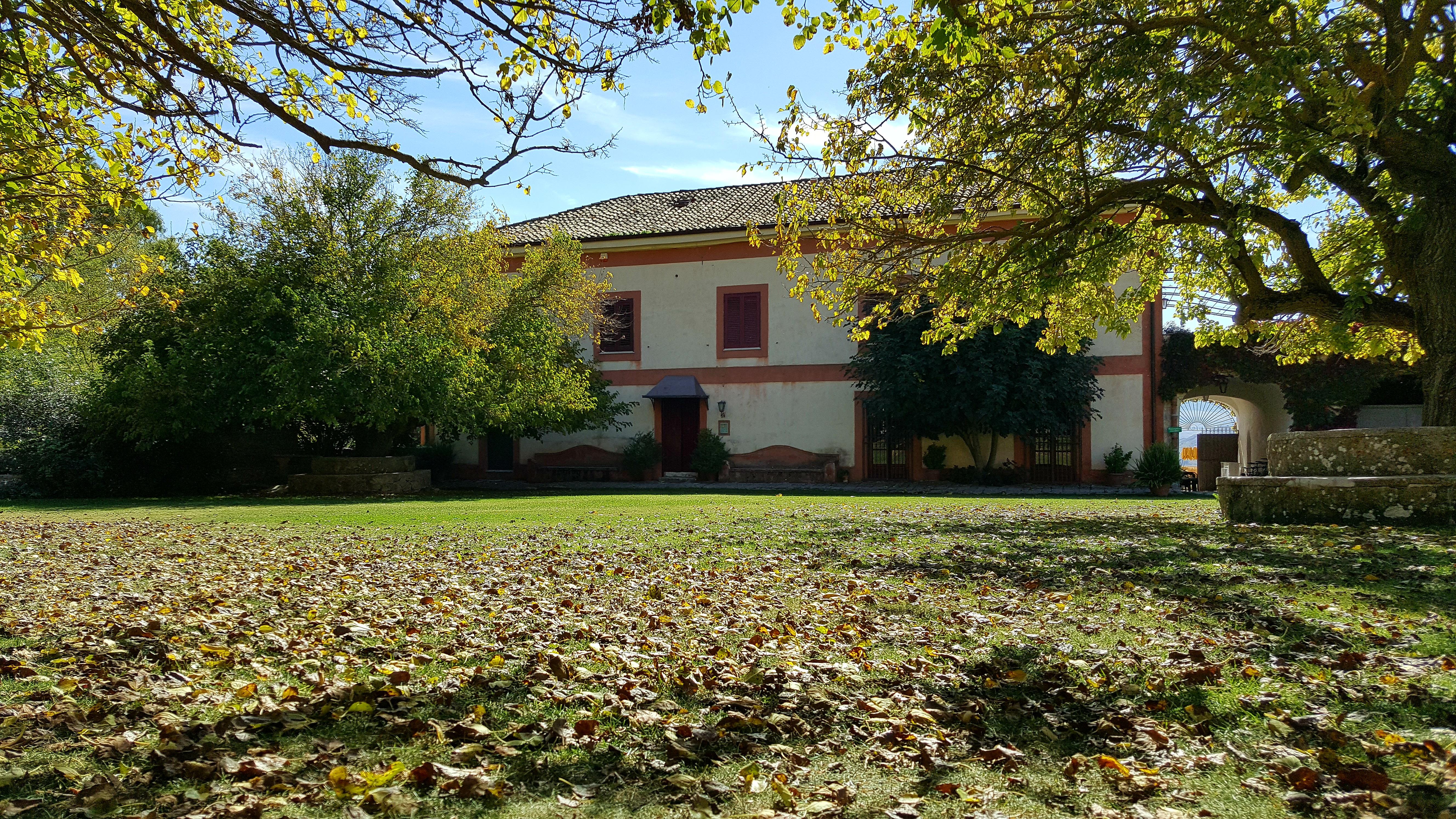 Masseria Rossella เปียนาเดยีอัลบาเนซี ภายนอก รูปภาพ