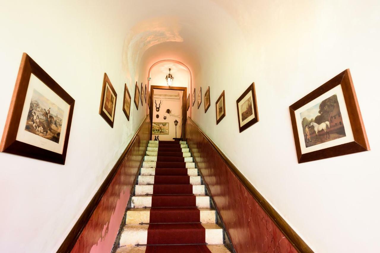 Masseria Rossella เปียนาเดยีอัลบาเนซี ภายนอก รูปภาพ